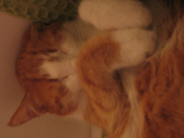 Picture 004.jpg, 373 KB